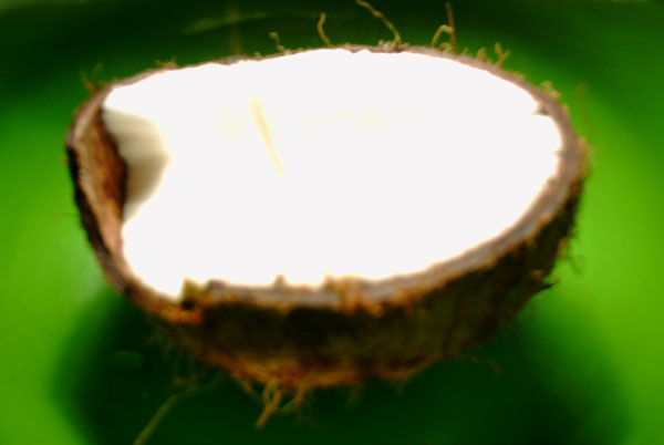 De kokosnoot