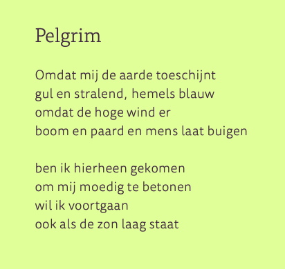 gallerij afbeelding