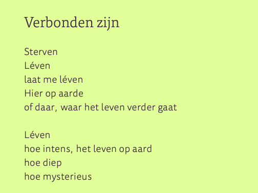 gallerij afbeelding
