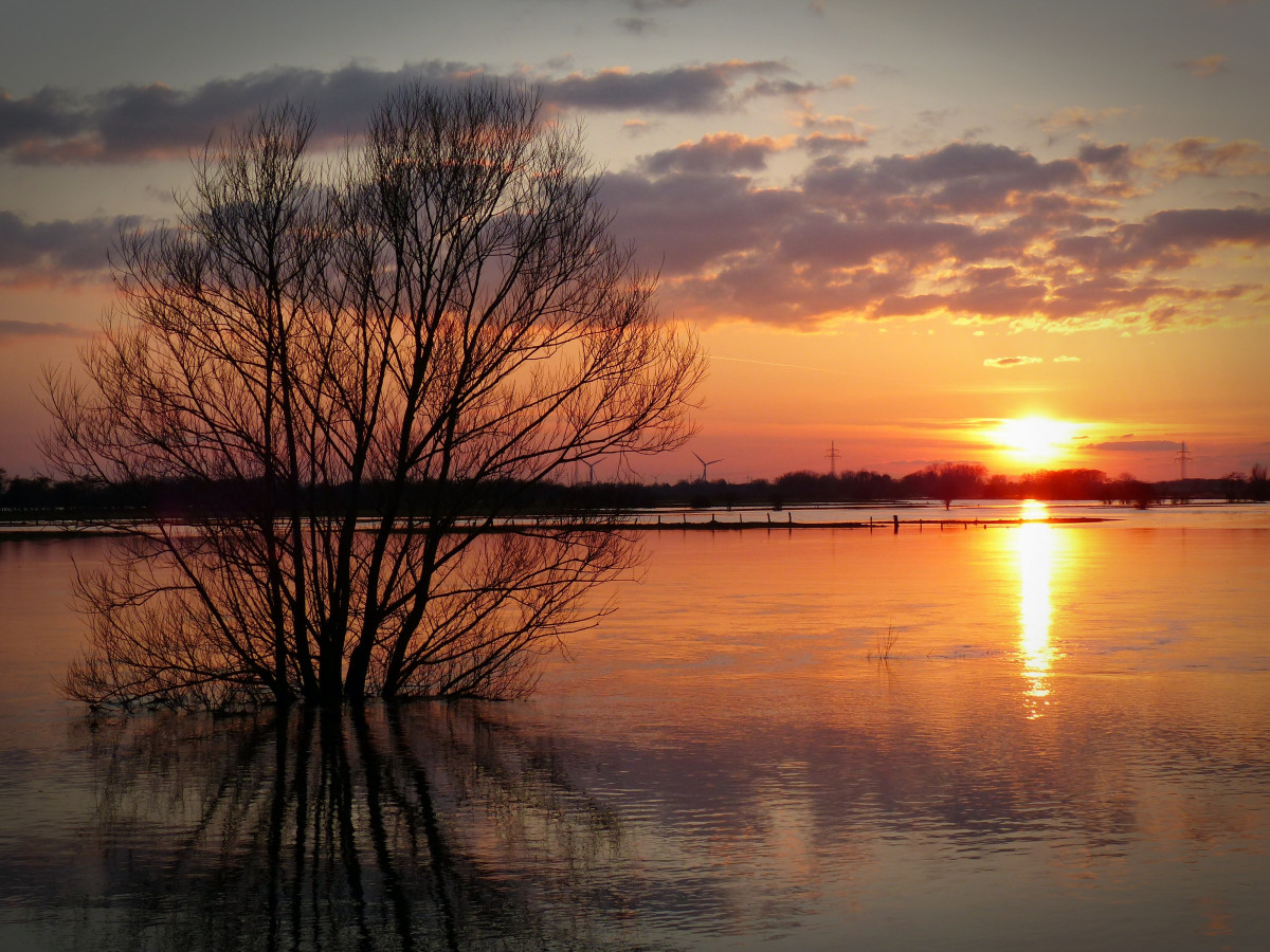 Heel even heel dichtbij