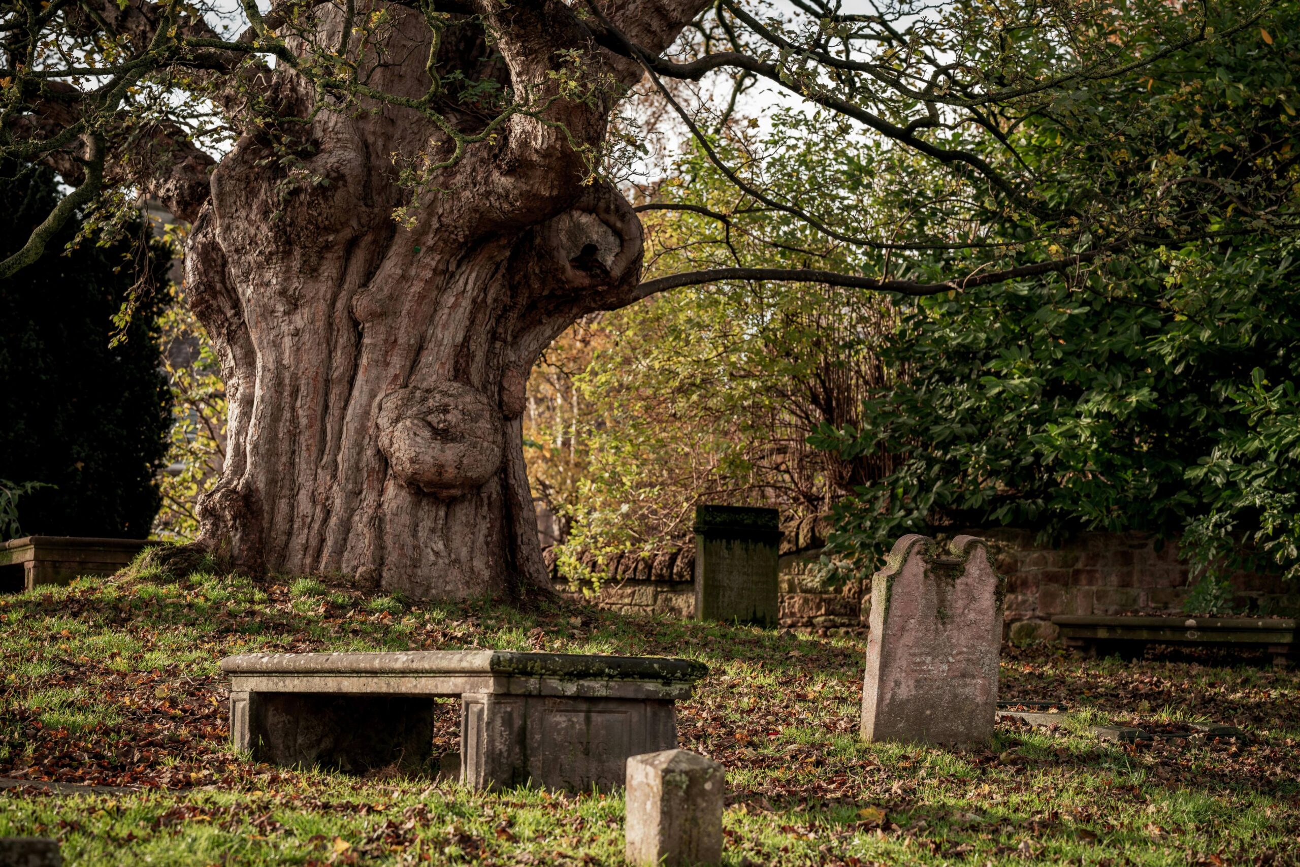 Een zondag om te herinneren